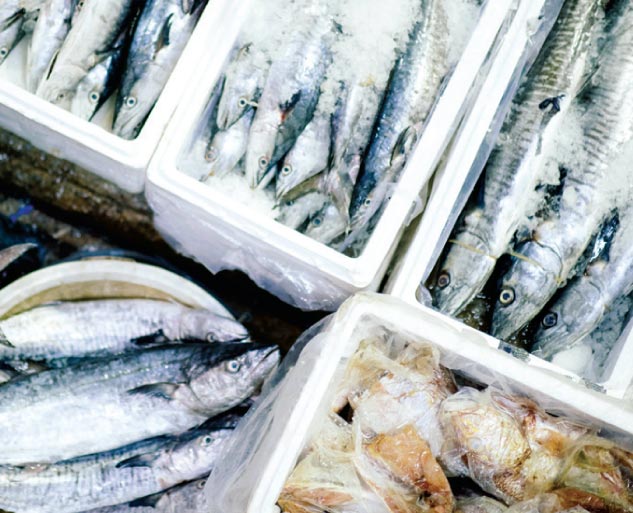 Seafood-in-styro-boxes